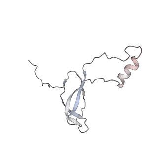 6646_5jut_TA_v1-3
Saccharomyces cerevisiae 80S ribosome bound with elongation factor eEF2-GDP-sordarin and Taura Syndrome Virus IRES, Structure IV (almost non-rotated 40S subunit)