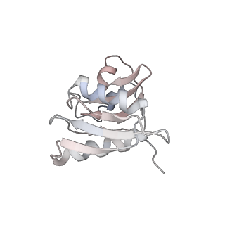 6646_5jut_TB_v1-3
Saccharomyces cerevisiae 80S ribosome bound with elongation factor eEF2-GDP-sordarin and Taura Syndrome Virus IRES, Structure IV (almost non-rotated 40S subunit)