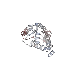 6646_5jut_T_v1-3
Saccharomyces cerevisiae 80S ribosome bound with elongation factor eEF2-GDP-sordarin and Taura Syndrome Virus IRES, Structure IV (almost non-rotated 40S subunit)