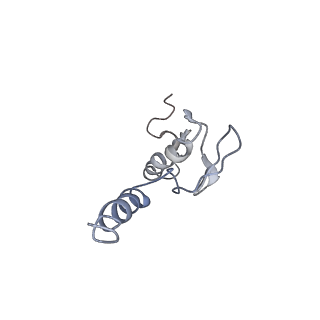 6646_5jut_UA_v1-3
Saccharomyces cerevisiae 80S ribosome bound with elongation factor eEF2-GDP-sordarin and Taura Syndrome Virus IRES, Structure IV (almost non-rotated 40S subunit)