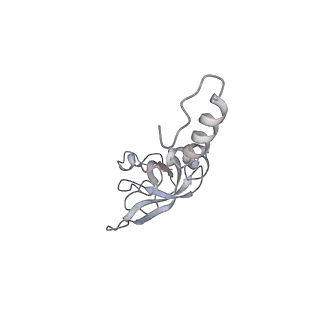 6646_5jut_UB_v1-3
Saccharomyces cerevisiae 80S ribosome bound with elongation factor eEF2-GDP-sordarin and Taura Syndrome Virus IRES, Structure IV (almost non-rotated 40S subunit)