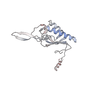 6646_5jut_U_v1-3
Saccharomyces cerevisiae 80S ribosome bound with elongation factor eEF2-GDP-sordarin and Taura Syndrome Virus IRES, Structure IV (almost non-rotated 40S subunit)