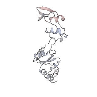 6646_5jut_VA_v1-3
Saccharomyces cerevisiae 80S ribosome bound with elongation factor eEF2-GDP-sordarin and Taura Syndrome Virus IRES, Structure IV (almost non-rotated 40S subunit)
