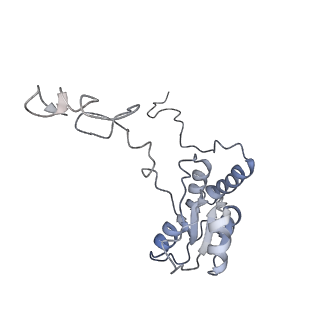 6646_5jut_V_v1-3
Saccharomyces cerevisiae 80S ribosome bound with elongation factor eEF2-GDP-sordarin and Taura Syndrome Virus IRES, Structure IV (almost non-rotated 40S subunit)