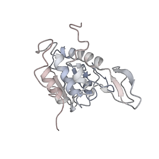 6646_5jut_XA_v1-3
Saccharomyces cerevisiae 80S ribosome bound with elongation factor eEF2-GDP-sordarin and Taura Syndrome Virus IRES, Structure IV (almost non-rotated 40S subunit)