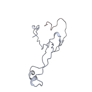 6646_5jut_XB_v1-3
Saccharomyces cerevisiae 80S ribosome bound with elongation factor eEF2-GDP-sordarin and Taura Syndrome Virus IRES, Structure IV (almost non-rotated 40S subunit)