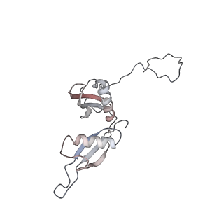 6646_5jut_X_v1-3
Saccharomyces cerevisiae 80S ribosome bound with elongation factor eEF2-GDP-sordarin and Taura Syndrome Virus IRES, Structure IV (almost non-rotated 40S subunit)