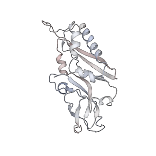 6646_5jut_YA_v1-3
Saccharomyces cerevisiae 80S ribosome bound with elongation factor eEF2-GDP-sordarin and Taura Syndrome Virus IRES, Structure IV (almost non-rotated 40S subunit)