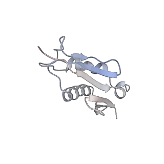 6646_5jut_Z_v1-3
Saccharomyces cerevisiae 80S ribosome bound with elongation factor eEF2-GDP-sordarin and Taura Syndrome Virus IRES, Structure IV (almost non-rotated 40S subunit)
