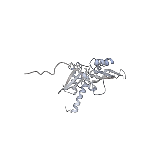 6647_5juu_AB_v1-3
Saccharomyces cerevisiae 80S ribosome bound with elongation factor eEF2-GDP-sordarin and Taura Syndrome Virus IRES, Structure V (least rotated 40S subunit)