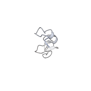 6647_5juu_AC_v1-3
Saccharomyces cerevisiae 80S ribosome bound with elongation factor eEF2-GDP-sordarin and Taura Syndrome Virus IRES, Structure V (least rotated 40S subunit)