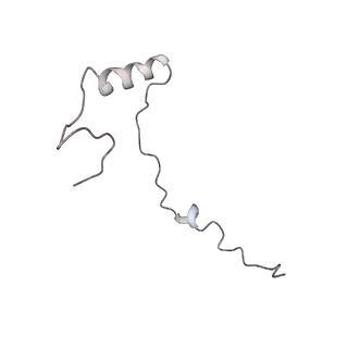 6647_5juu_BC_v1-3
Saccharomyces cerevisiae 80S ribosome bound with elongation factor eEF2-GDP-sordarin and Taura Syndrome Virus IRES, Structure V (least rotated 40S subunit)