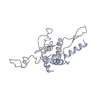 6647_5juu_CB_v1-3
Saccharomyces cerevisiae 80S ribosome bound with elongation factor eEF2-GDP-sordarin and Taura Syndrome Virus IRES, Structure V (least rotated 40S subunit)