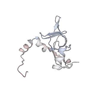 6647_5juu_DA_v1-3
Saccharomyces cerevisiae 80S ribosome bound with elongation factor eEF2-GDP-sordarin and Taura Syndrome Virus IRES, Structure V (least rotated 40S subunit)