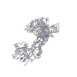 6647_5juu_DC_v1-3
Saccharomyces cerevisiae 80S ribosome bound with elongation factor eEF2-GDP-sordarin and Taura Syndrome Virus IRES, Structure V (least rotated 40S subunit)