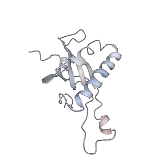 6647_5juu_EA_v1-3
Saccharomyces cerevisiae 80S ribosome bound with elongation factor eEF2-GDP-sordarin and Taura Syndrome Virus IRES, Structure V (least rotated 40S subunit)