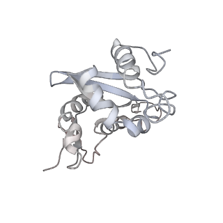 6647_5juu_EB_v1-3
Saccharomyces cerevisiae 80S ribosome bound with elongation factor eEF2-GDP-sordarin and Taura Syndrome Virus IRES, Structure V (least rotated 40S subunit)