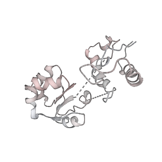 6647_5juu_E_v1-3
Saccharomyces cerevisiae 80S ribosome bound with elongation factor eEF2-GDP-sordarin and Taura Syndrome Virus IRES, Structure V (least rotated 40S subunit)