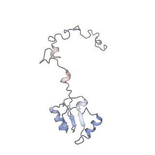 6647_5juu_FA_v1-3
Saccharomyces cerevisiae 80S ribosome bound with elongation factor eEF2-GDP-sordarin and Taura Syndrome Virus IRES, Structure V (least rotated 40S subunit)