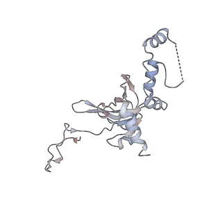 6647_5juu_FB_v1-3
Saccharomyces cerevisiae 80S ribosome bound with elongation factor eEF2-GDP-sordarin and Taura Syndrome Virus IRES, Structure V (least rotated 40S subunit)