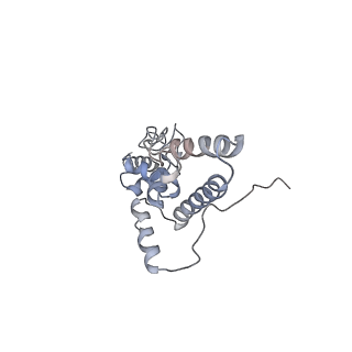 6647_5juu_GB_v1-3
Saccharomyces cerevisiae 80S ribosome bound with elongation factor eEF2-GDP-sordarin and Taura Syndrome Virus IRES, Structure V (least rotated 40S subunit)