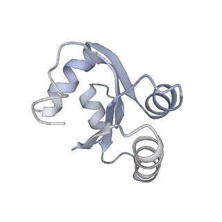 6647_5juu_HA_v1-3
Saccharomyces cerevisiae 80S ribosome bound with elongation factor eEF2-GDP-sordarin and Taura Syndrome Virus IRES, Structure V (least rotated 40S subunit)