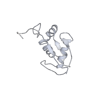 6647_5juu_HB_v1-3
Saccharomyces cerevisiae 80S ribosome bound with elongation factor eEF2-GDP-sordarin and Taura Syndrome Virus IRES, Structure V (least rotated 40S subunit)
