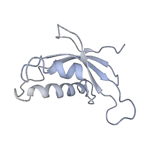 6647_5juu_IA_v1-3
Saccharomyces cerevisiae 80S ribosome bound with elongation factor eEF2-GDP-sordarin and Taura Syndrome Virus IRES, Structure V (least rotated 40S subunit)