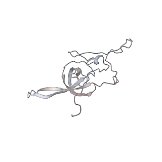 6647_5juu_IB_v1-3
Saccharomyces cerevisiae 80S ribosome bound with elongation factor eEF2-GDP-sordarin and Taura Syndrome Virus IRES, Structure V (least rotated 40S subunit)