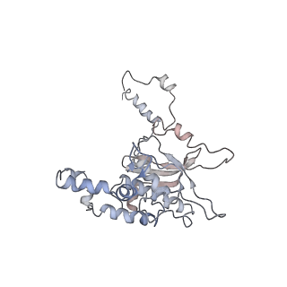 6647_5juu_I_v1-3
Saccharomyces cerevisiae 80S ribosome bound with elongation factor eEF2-GDP-sordarin and Taura Syndrome Virus IRES, Structure V (least rotated 40S subunit)