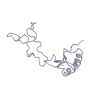 6647_5juu_JA_v1-3
Saccharomyces cerevisiae 80S ribosome bound with elongation factor eEF2-GDP-sordarin and Taura Syndrome Virus IRES, Structure V (least rotated 40S subunit)