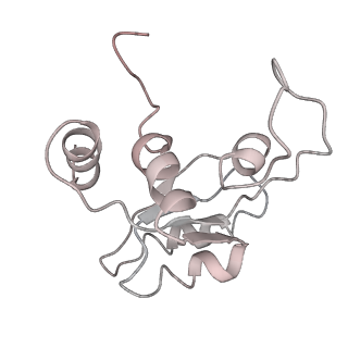 6647_5juu_JB_v1-3
Saccharomyces cerevisiae 80S ribosome bound with elongation factor eEF2-GDP-sordarin and Taura Syndrome Virus IRES, Structure V (least rotated 40S subunit)
