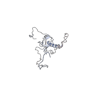 6647_5juu_J_v1-3
Saccharomyces cerevisiae 80S ribosome bound with elongation factor eEF2-GDP-sordarin and Taura Syndrome Virus IRES, Structure V (least rotated 40S subunit)
