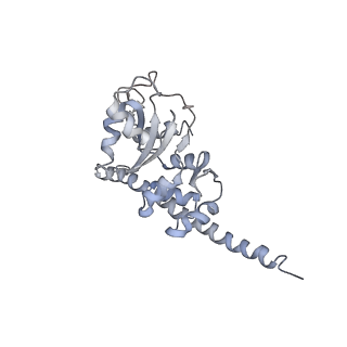 6647_5juu_K_v1-3
Saccharomyces cerevisiae 80S ribosome bound with elongation factor eEF2-GDP-sordarin and Taura Syndrome Virus IRES, Structure V (least rotated 40S subunit)