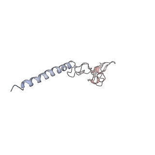 6647_5juu_LA_v1-3
Saccharomyces cerevisiae 80S ribosome bound with elongation factor eEF2-GDP-sordarin and Taura Syndrome Virus IRES, Structure V (least rotated 40S subunit)