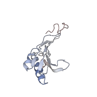 6647_5juu_LB_v1-3
Saccharomyces cerevisiae 80S ribosome bound with elongation factor eEF2-GDP-sordarin and Taura Syndrome Virus IRES, Structure V (least rotated 40S subunit)
