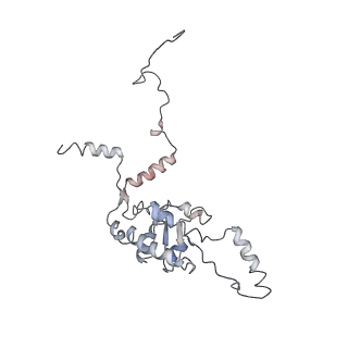 6647_5juu_L_v1-3
Saccharomyces cerevisiae 80S ribosome bound with elongation factor eEF2-GDP-sordarin and Taura Syndrome Virus IRES, Structure V (least rotated 40S subunit)