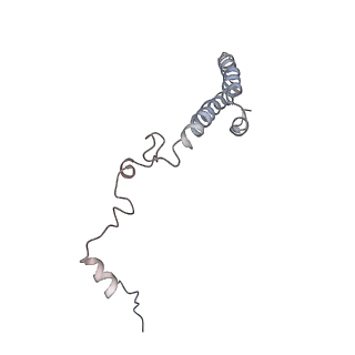 6647_5juu_MA_v1-3
Saccharomyces cerevisiae 80S ribosome bound with elongation factor eEF2-GDP-sordarin and Taura Syndrome Virus IRES, Structure V (least rotated 40S subunit)