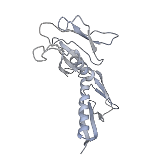 6647_5juu_M_v1-3
Saccharomyces cerevisiae 80S ribosome bound with elongation factor eEF2-GDP-sordarin and Taura Syndrome Virus IRES, Structure V (least rotated 40S subunit)