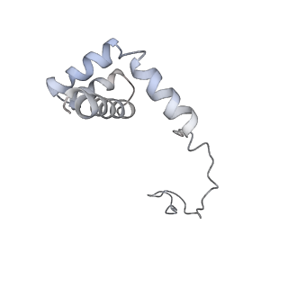 6647_5juu_NA_v1-3
Saccharomyces cerevisiae 80S ribosome bound with elongation factor eEF2-GDP-sordarin and Taura Syndrome Virus IRES, Structure V (least rotated 40S subunit)