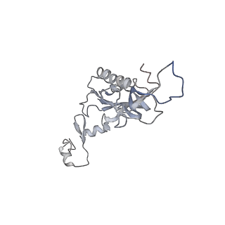 6647_5juu_N_v1-3
Saccharomyces cerevisiae 80S ribosome bound with elongation factor eEF2-GDP-sordarin and Taura Syndrome Virus IRES, Structure V (least rotated 40S subunit)