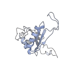 6647_5juu_O_v1-3
Saccharomyces cerevisiae 80S ribosome bound with elongation factor eEF2-GDP-sordarin and Taura Syndrome Virus IRES, Structure V (least rotated 40S subunit)