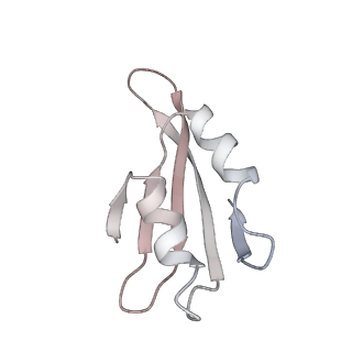 6647_5juu_PA_v1-3
Saccharomyces cerevisiae 80S ribosome bound with elongation factor eEF2-GDP-sordarin and Taura Syndrome Virus IRES, Structure V (least rotated 40S subunit)