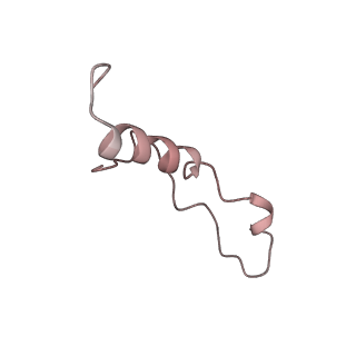 6647_5juu_QA_v1-3
Saccharomyces cerevisiae 80S ribosome bound with elongation factor eEF2-GDP-sordarin and Taura Syndrome Virus IRES, Structure V (least rotated 40S subunit)