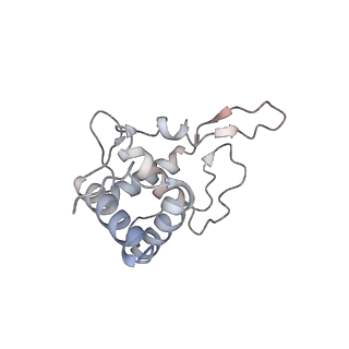 6647_5juu_QB_v1-3
Saccharomyces cerevisiae 80S ribosome bound with elongation factor eEF2-GDP-sordarin and Taura Syndrome Virus IRES, Structure V (least rotated 40S subunit)