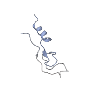 6647_5juu_RA_v1-3
Saccharomyces cerevisiae 80S ribosome bound with elongation factor eEF2-GDP-sordarin and Taura Syndrome Virus IRES, Structure V (least rotated 40S subunit)