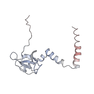 6647_5juu_R_v1-3
Saccharomyces cerevisiae 80S ribosome bound with elongation factor eEF2-GDP-sordarin and Taura Syndrome Virus IRES, Structure V (least rotated 40S subunit)