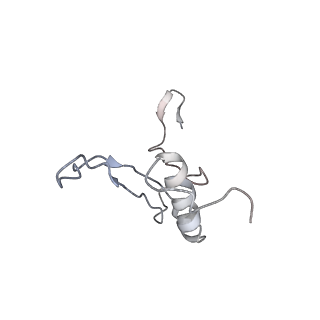 6647_5juu_SB_v1-3
Saccharomyces cerevisiae 80S ribosome bound with elongation factor eEF2-GDP-sordarin and Taura Syndrome Virus IRES, Structure V (least rotated 40S subunit)