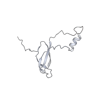6647_5juu_TA_v1-3
Saccharomyces cerevisiae 80S ribosome bound with elongation factor eEF2-GDP-sordarin and Taura Syndrome Virus IRES, Structure V (least rotated 40S subunit)
