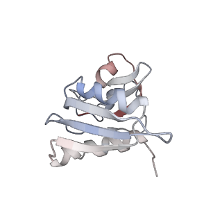 6647_5juu_TB_v1-3
Saccharomyces cerevisiae 80S ribosome bound with elongation factor eEF2-GDP-sordarin and Taura Syndrome Virus IRES, Structure V (least rotated 40S subunit)